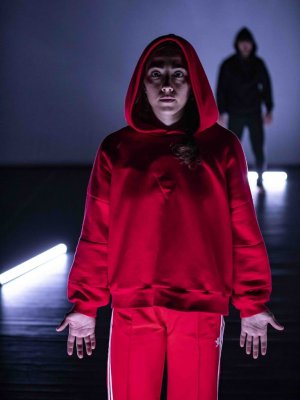 Le petit chaperon rouge